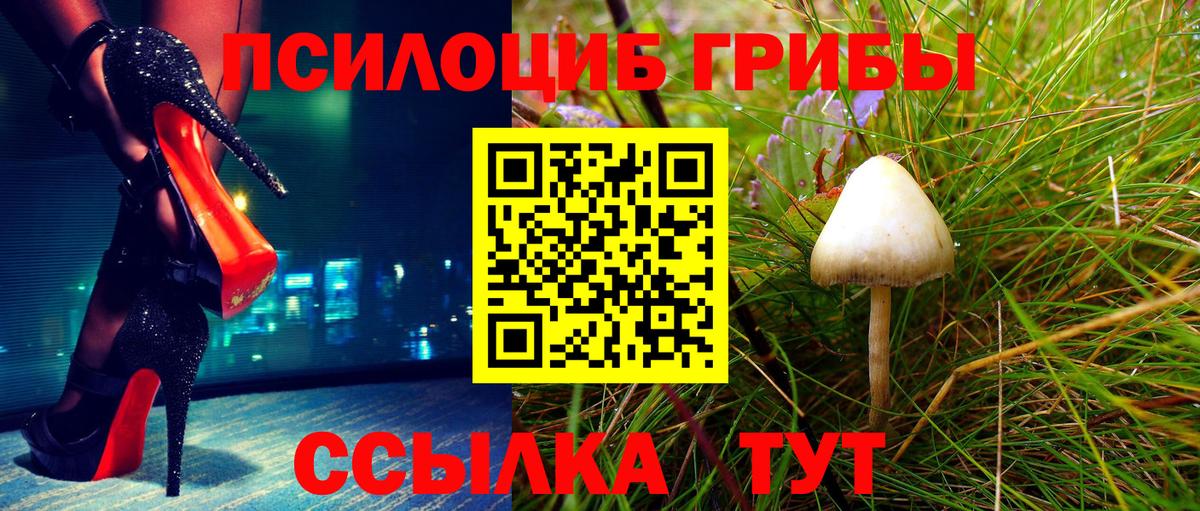 Галлюциногенные грибы Psilocybine cubensis  Вход с VPN  Ессентуки 